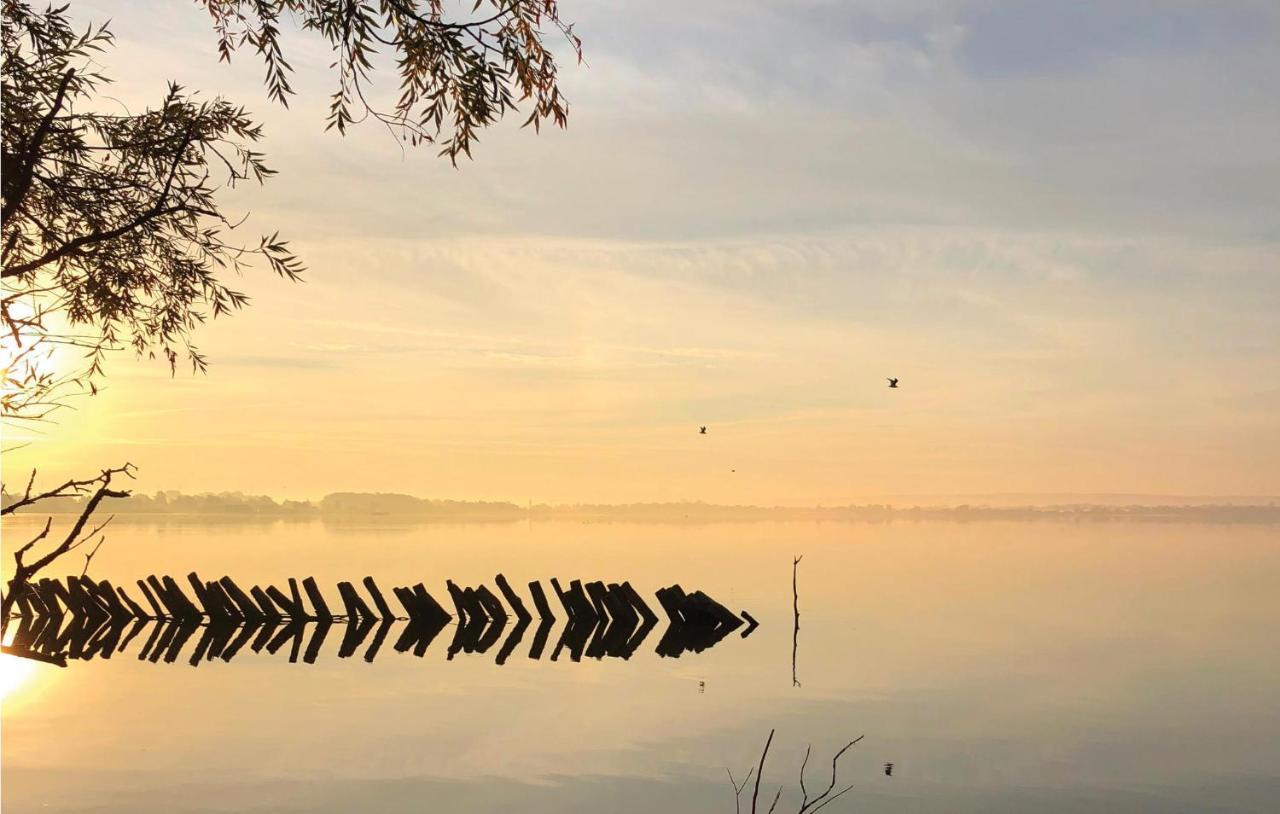 Amazing Home In Lembruch-Duemmer See With Sauna Bagian luar foto